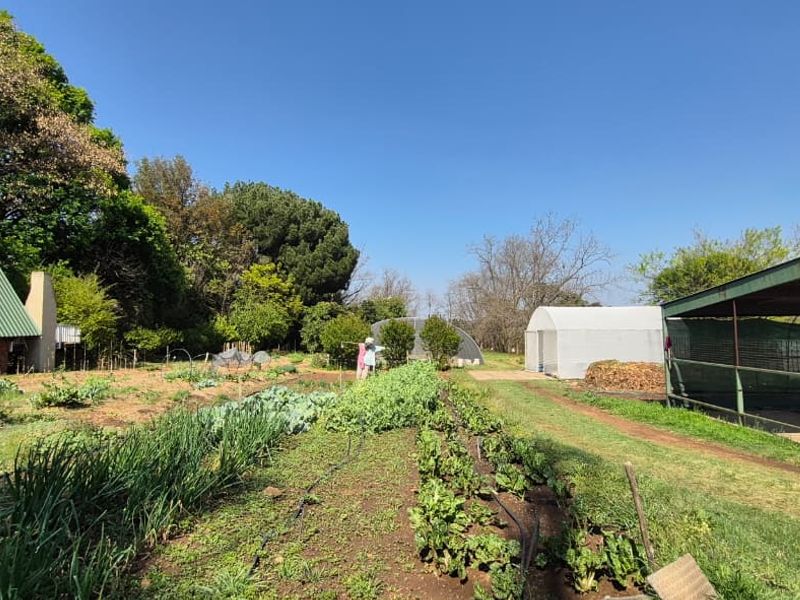 Expansive small holding garden featuring vegetable patches, irrigation, a greenhouse, and a functional metal carport structure.