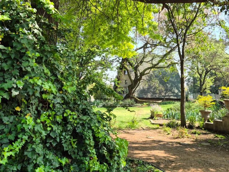 A lush, mature garden featuring established trees, stone staircase, and decorative stone planters leading toward the property structure.