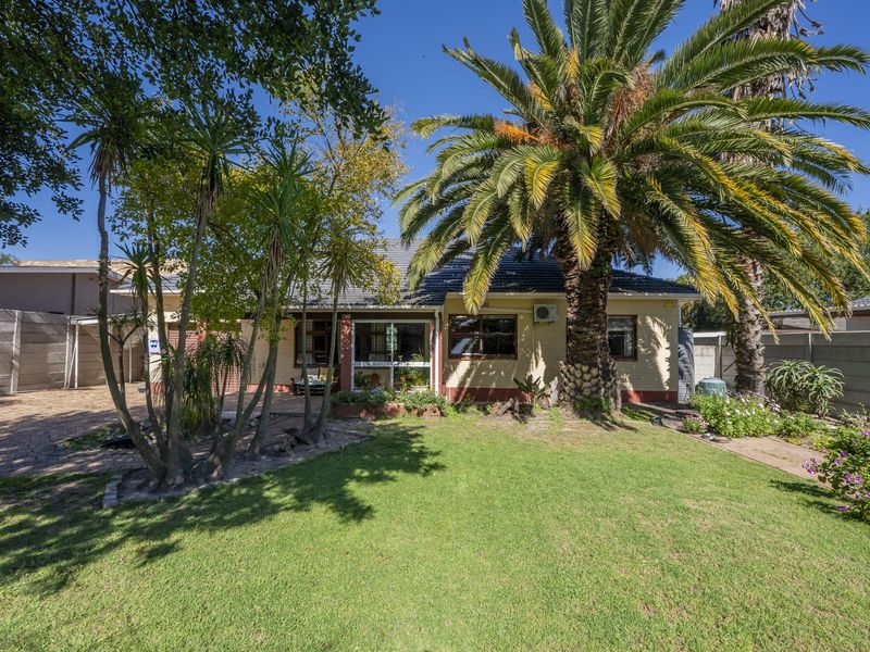 Rear view of the house featuring a well-maintained lawn, paved driveway, and established garden with a large palm tree.