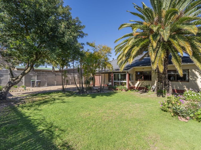 A spacious rear garden featuring a well-maintained lawn, mature palm tree, paved driveway area, and concrete boundary walling.