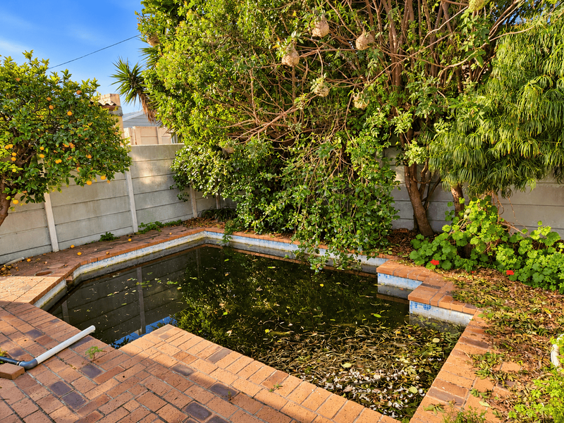 Outdoor pool area featuring brick coping and a precast concrete boundary wall, currently requiring significant maintenance and cleaning of the pool water.