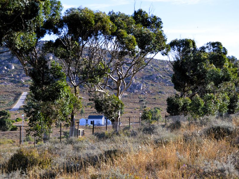 Not to be missed!!! A 904m2 Erf @ R600 000-00 in St Helena Bay. - Photo 9