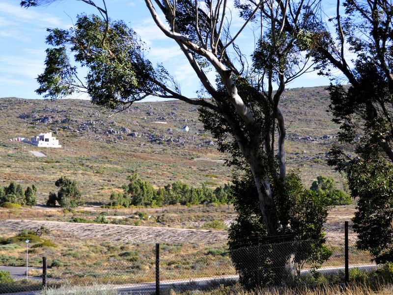 Not to be missed!!! A 904m2 Erf @ R600 000-00 in St Helena Bay. - Photo 8