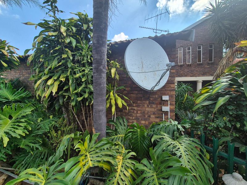 Rear exterior view of a face brick house featuring a satellite dish, television antenna, and dense surrounding garden vegetation.