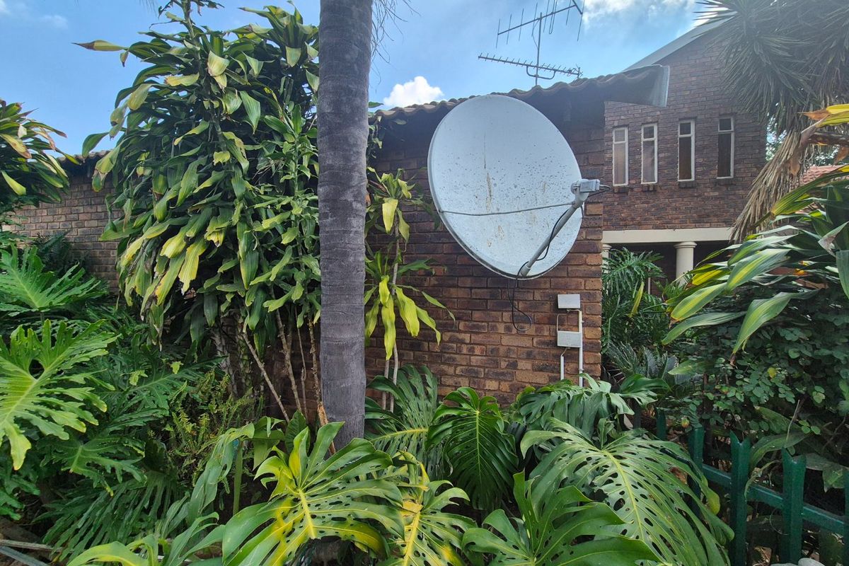 Rear exterior view of a face brick house featuring a satellite dish, television antenna, and dense surrounding garden vegetation.
