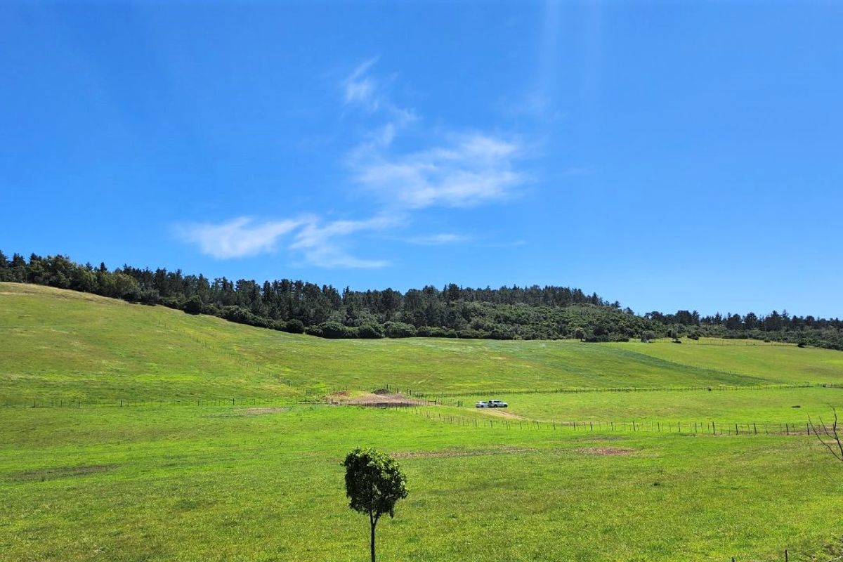 Gans Vallei Grazing Farm: A Paradise for Your Dreams - Photo 4