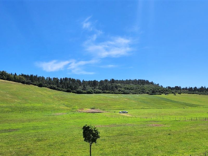 Gans Vallei Grazing Farm: A Paradise for Your Dreams - Photo 4