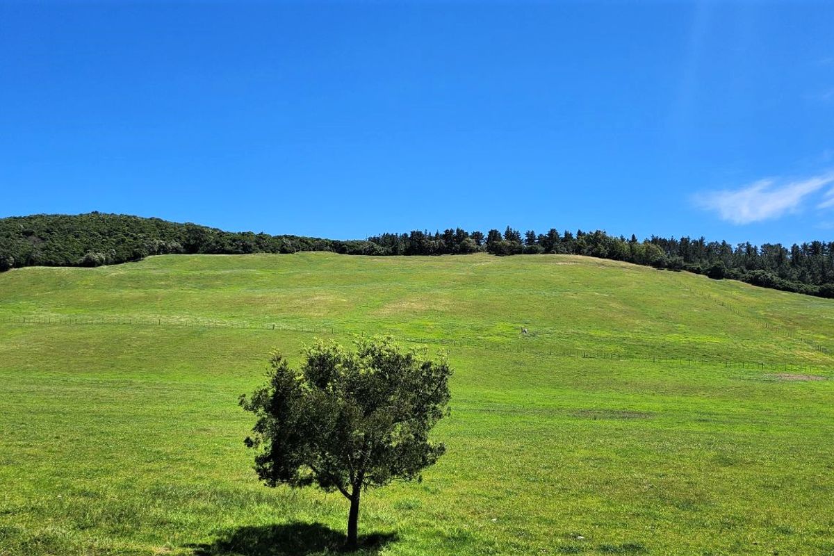 Gans Vallei Grazing Farm: A Paradise for Your Dreams - Photo 2