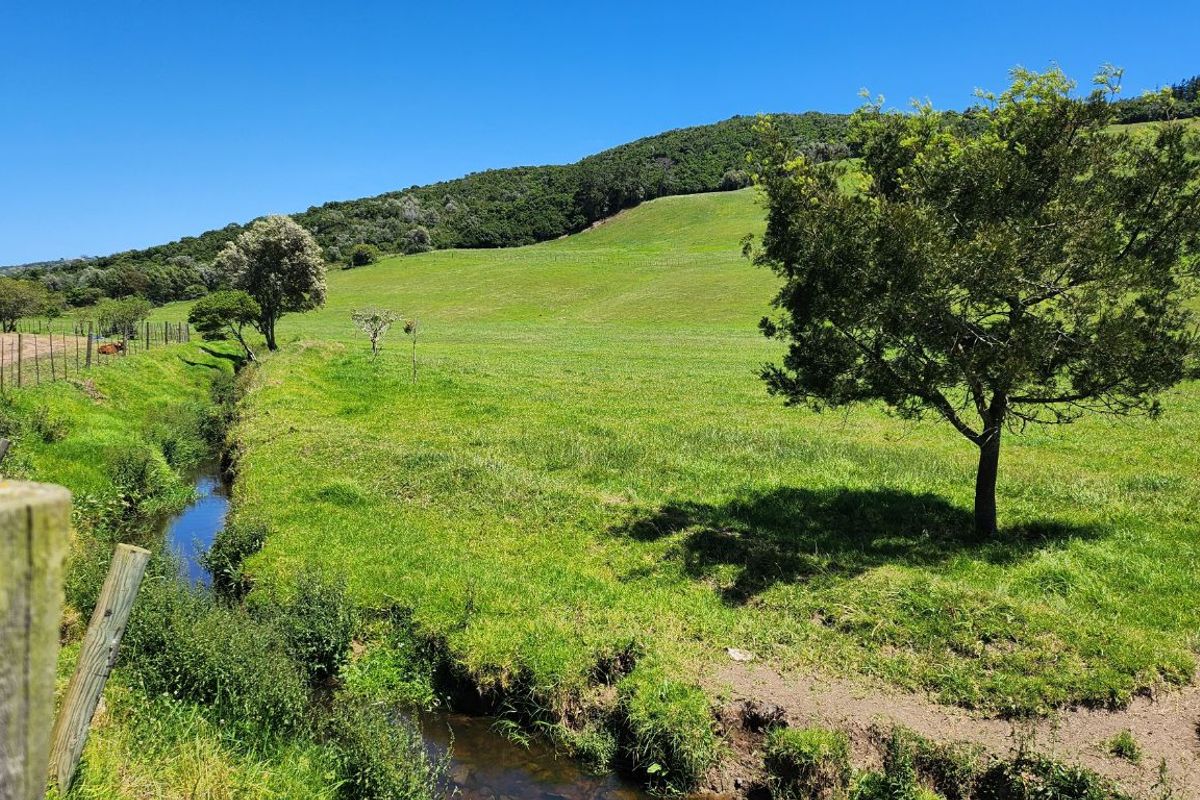 Gans Vallei Grazing Farm: A Paradise for Your Dreams - Photo 5