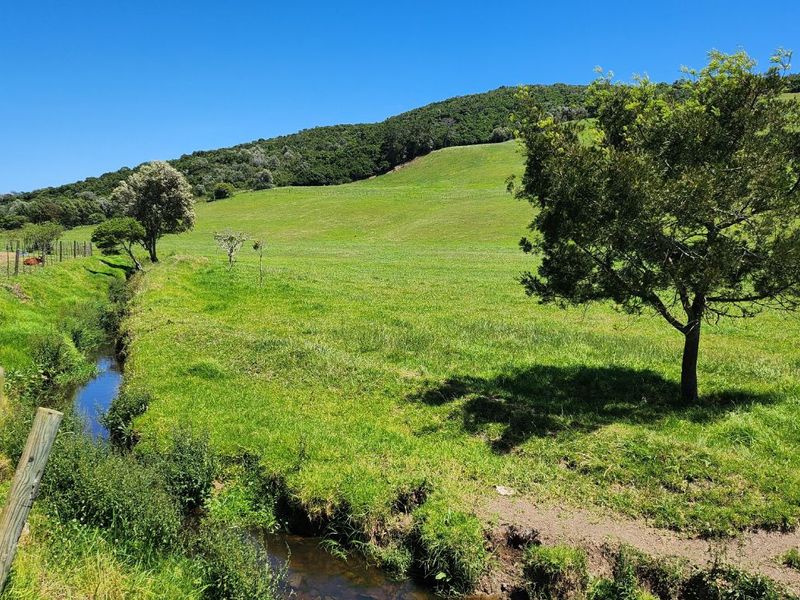 Gans Vallei Grazing Farm: A Paradise for Your Dreams - Photo 5