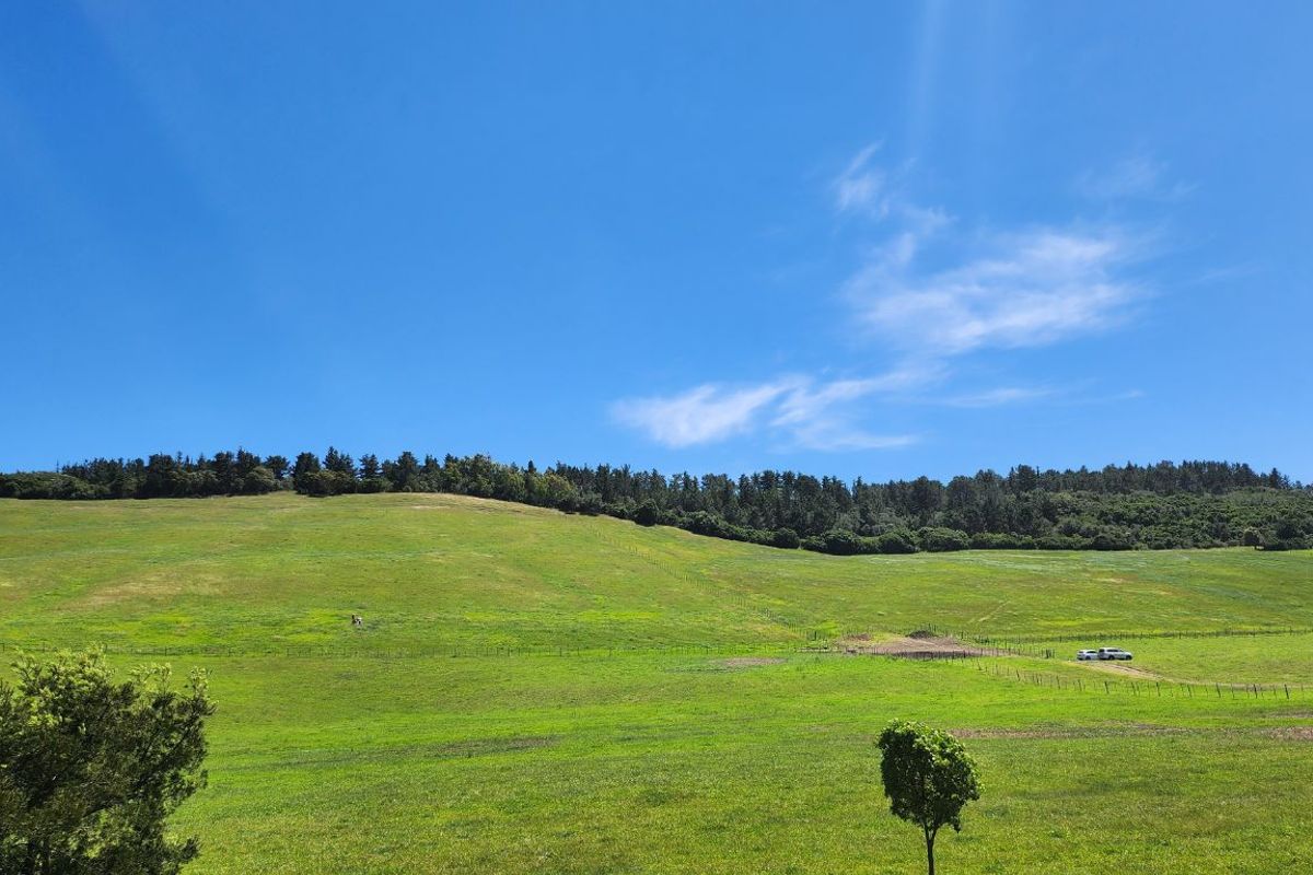 Gans Vallei Grazing Farm: A Paradise for Your Dreams - Photo 3