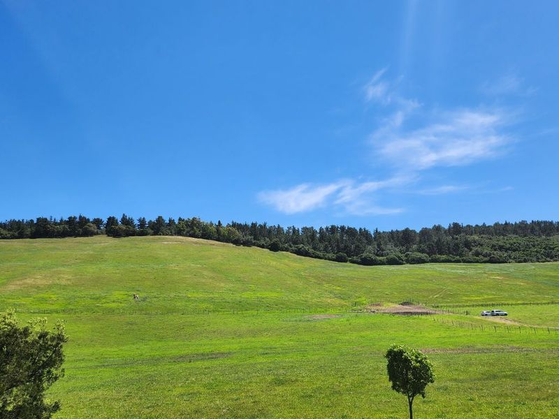 Gans Vallei Grazing Farm: A Paradise for Your Dreams - Photo 3