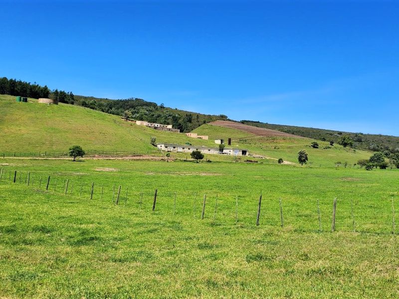 Gans Vallei Grazing Farm: A Paradise for Your Dreams - Photo 10