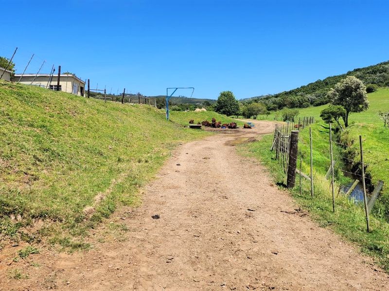 Gans Vallei Grazing Farm: A Paradise for Your Dreams - Photo 9