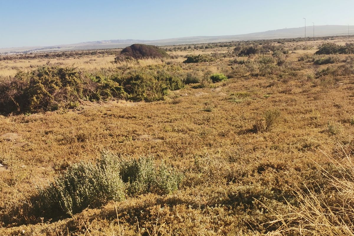 Light Industrial Property for Sale in Saldanha Industrial!! - Photo 2