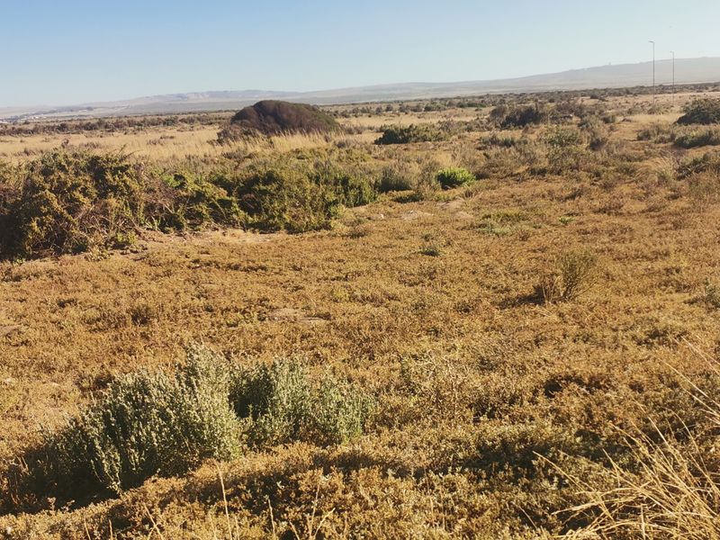 Light Industrial Property for Sale in Saldanha Industrial!! - Photo 2