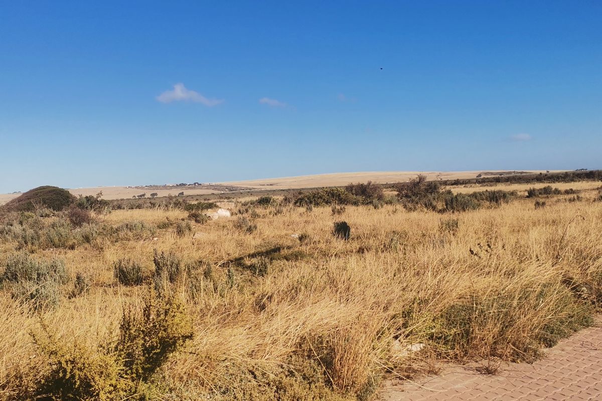 Light Industrial Property for Sale in Saldanha Industrial!! - Photo 5