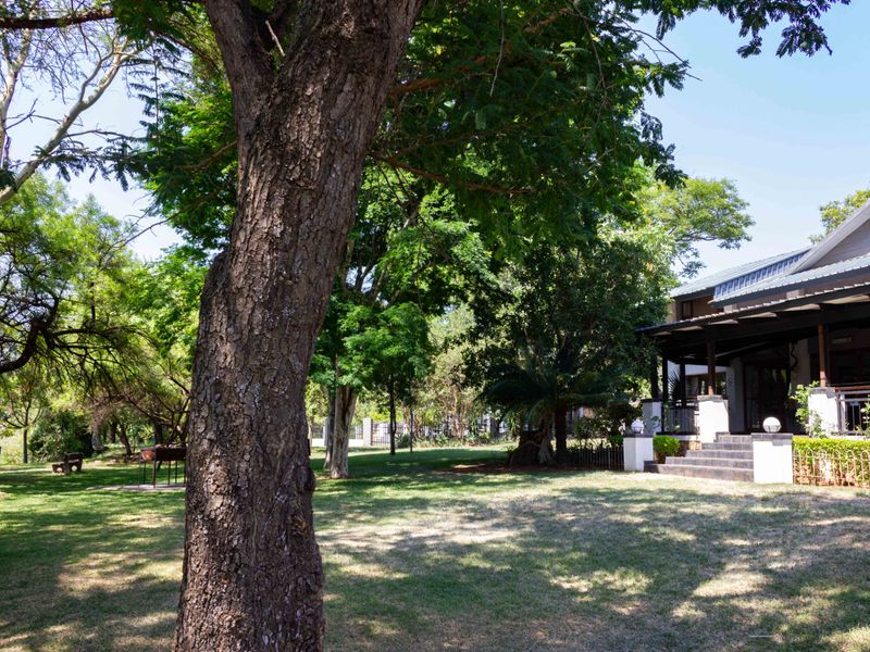 A spacious, well-maintained garden featuring mature trees, a lush lawn, and a covered patio area with stone steps leading to the main residence.