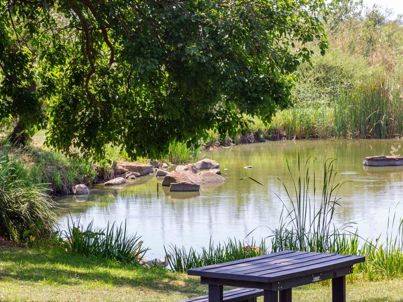 A peaceful view of a natural pond surrounded by lush greenery and mature trees on the farm property.