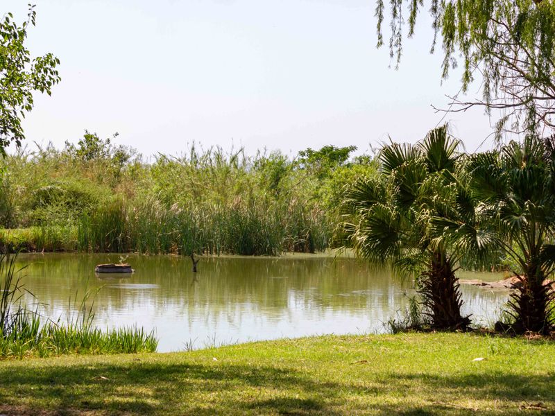 A scenic view of a natural pond surrounded by lush greenery and mature palm trees on the farm property.