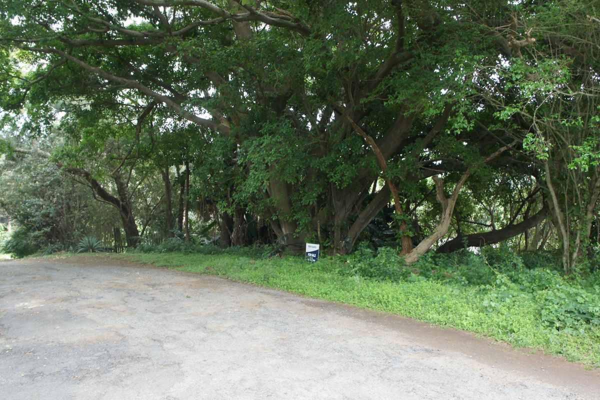 Expansive Vacant Land close to the Pennington beach - Photo 2