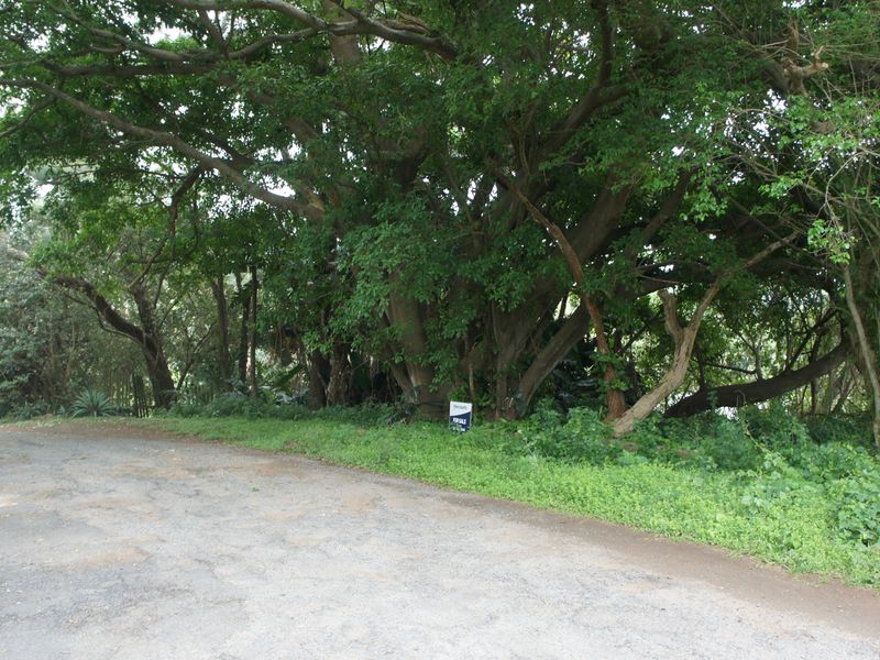 Expansive Vacant Land close to the Pennington beach - Photo 2