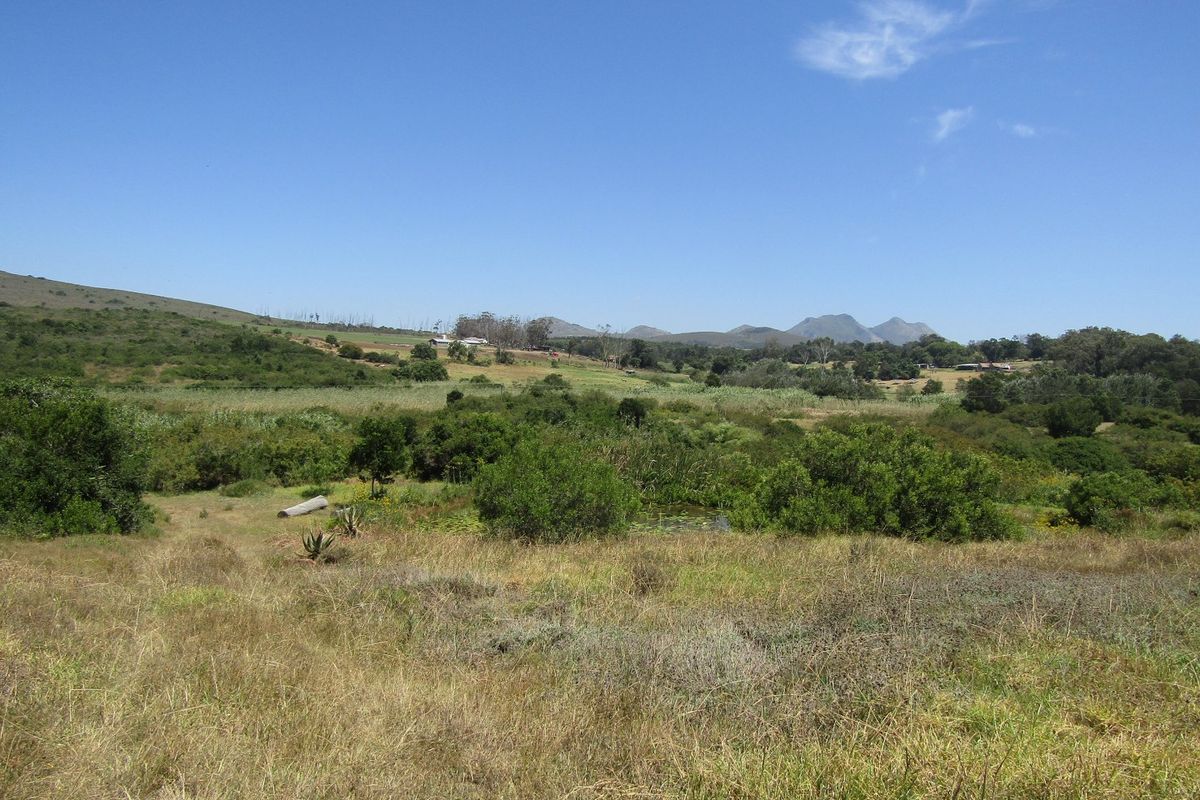 Sustainable Off The Grid Living - Photo 2