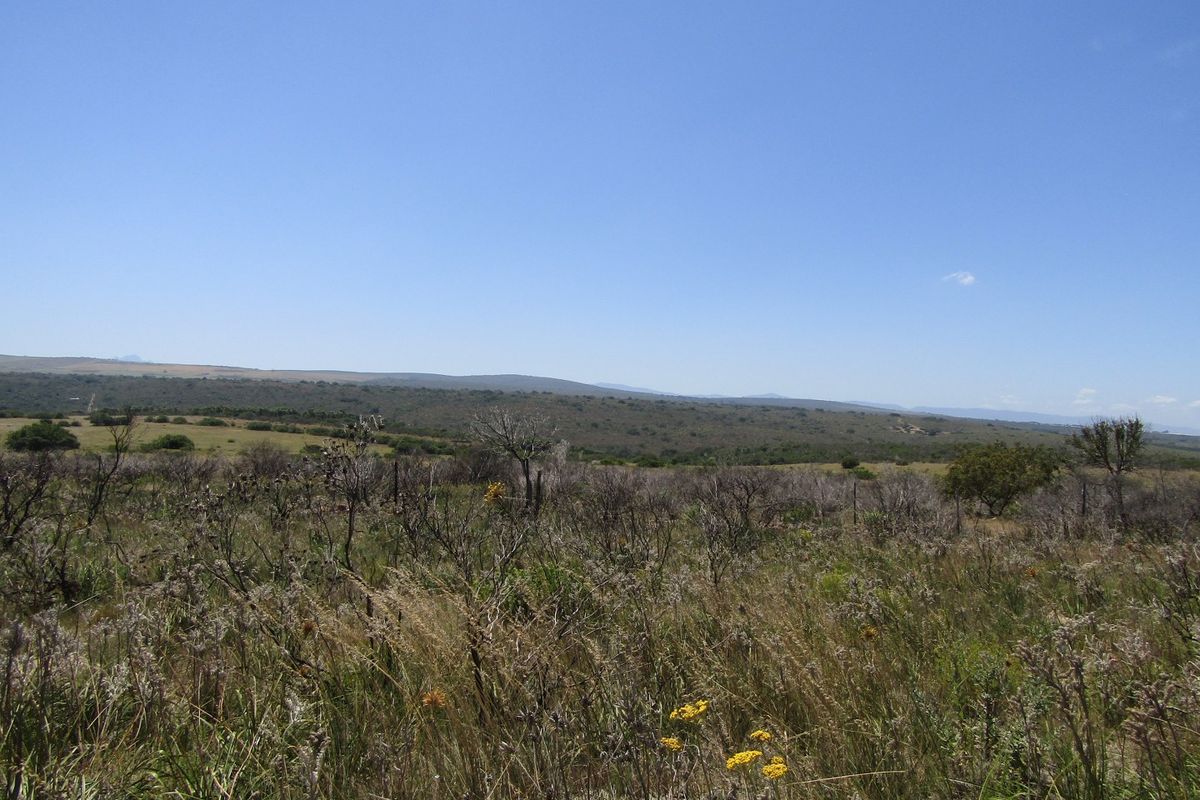 Sustainable Off The Grid Living - Photo 5