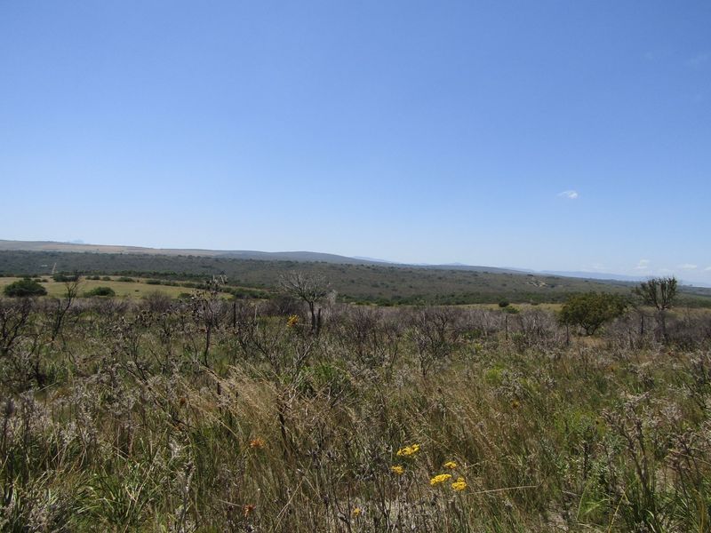 Sustainable Off The Grid Living - Photo 5