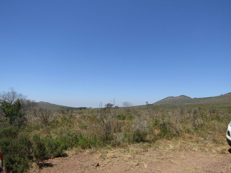 Sustainable Off The Grid Living - Photo 10