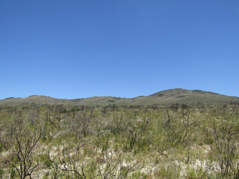 Sustainable Off The Grid Living - Photo 6