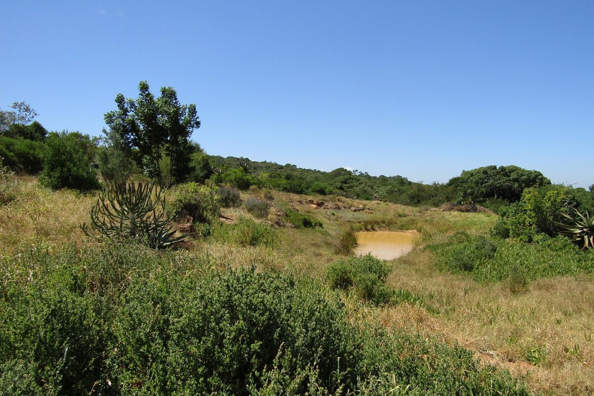 Sustainable Off The Grid Living - Photo 4