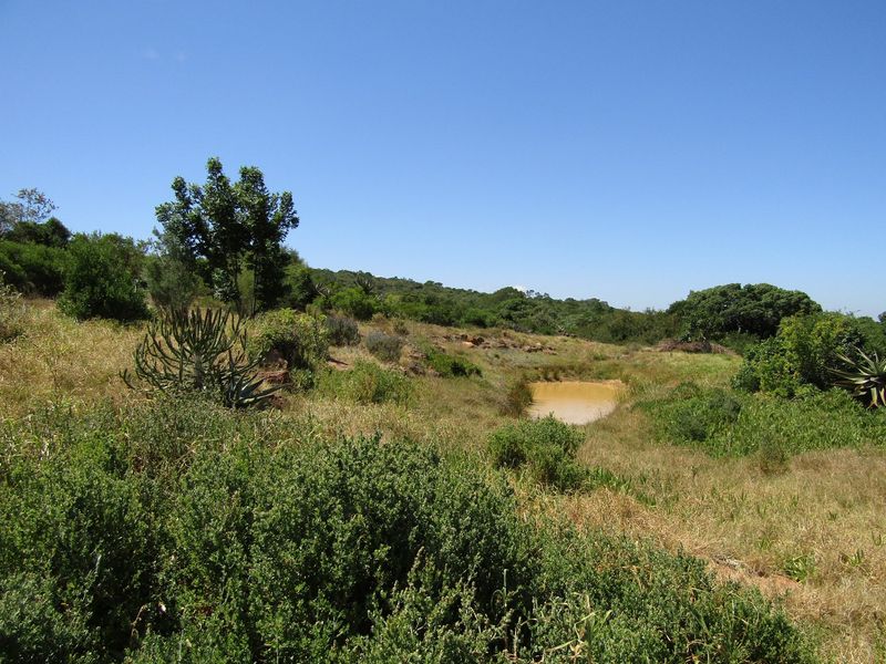 Sustainable Off The Grid Living - Photo 4