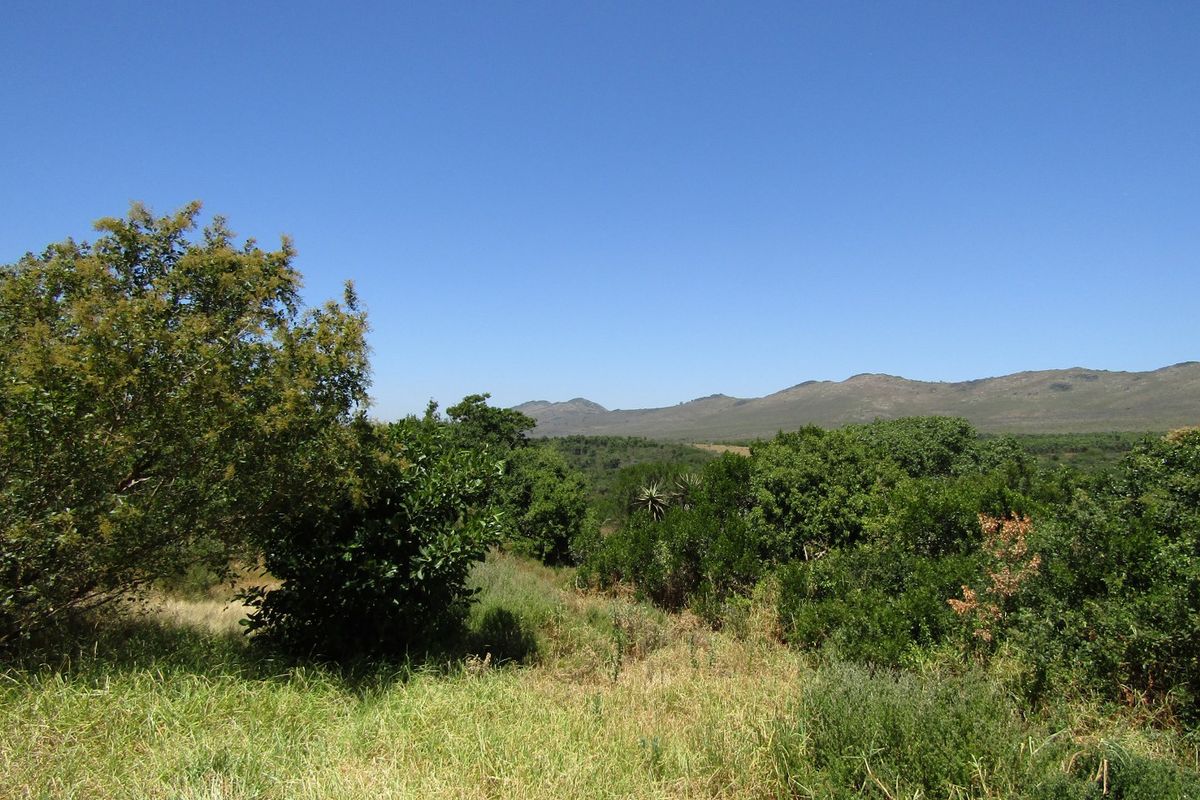 Sustainable Off The Grid Living - Photo 4