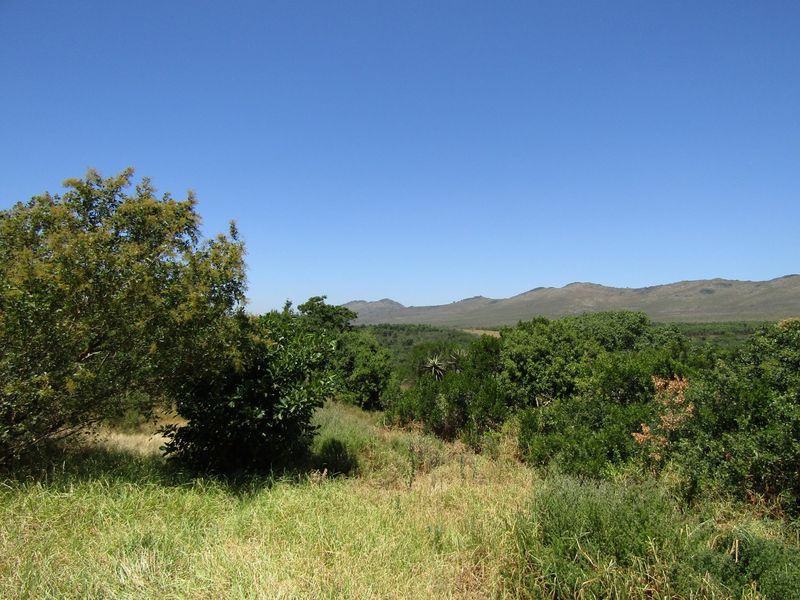 Sustainable Off The Grid Living - Photo 4