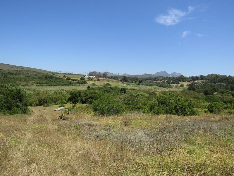 Sustainable Off The Grid Living - Photo 2