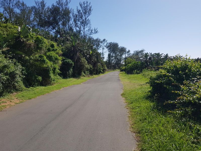 A view of a paved residential street lined with mature trees and natural vegetation, providing access to the vacant land property.