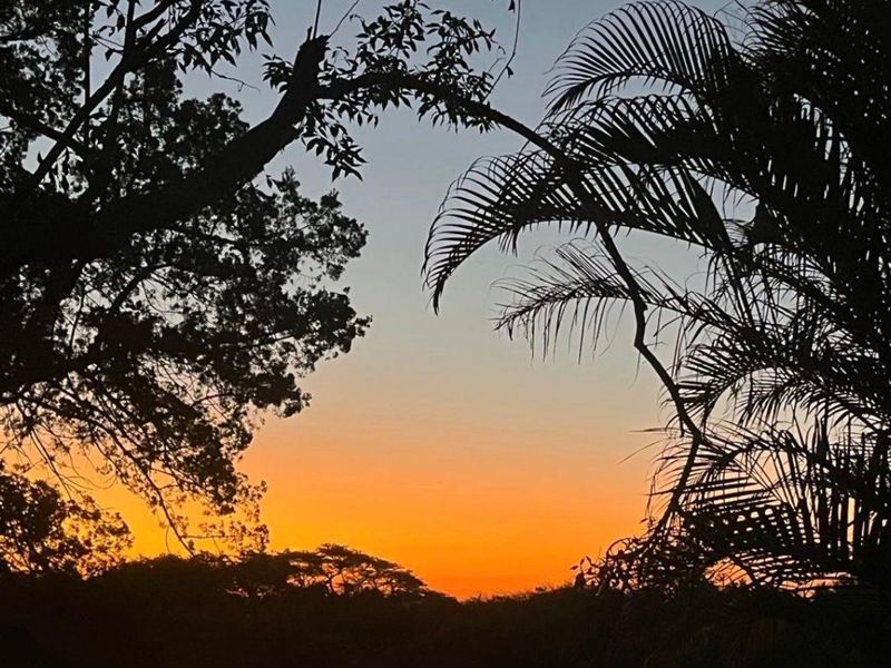 Farm For Sale In Eshowe - Photo 3