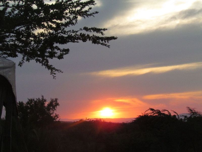 Farm For Sale In Eshowe - Photo 2