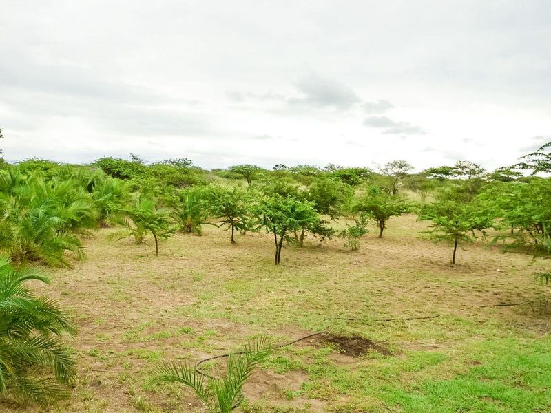 Farm For Sale In Eshowe - Photo 9