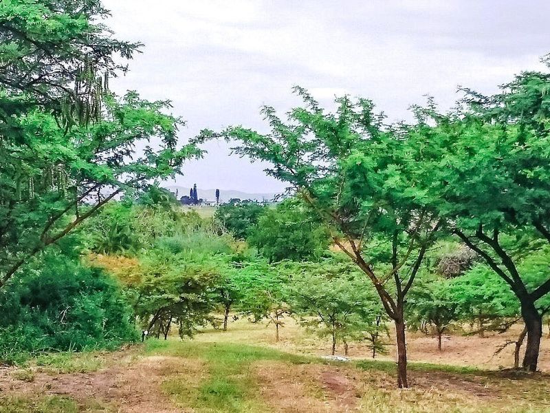 Farm For Sale In Eshowe - Photo 8