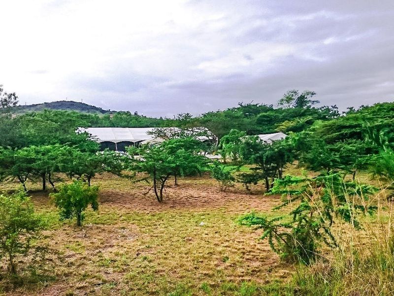 Farm For Sale In Eshowe - Photo 7