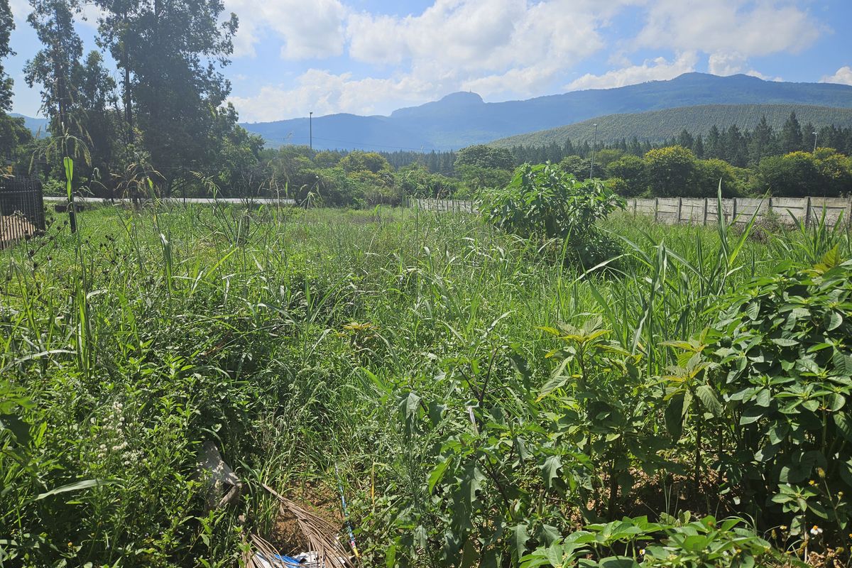 Prime land for sale adjacent to the N1 - Photo 3