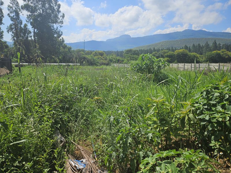 Prime land for sale adjacent to the N1 - Photo 3