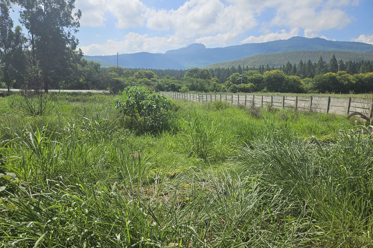 Prime land for sale adjacent to the N1 - Photo 4