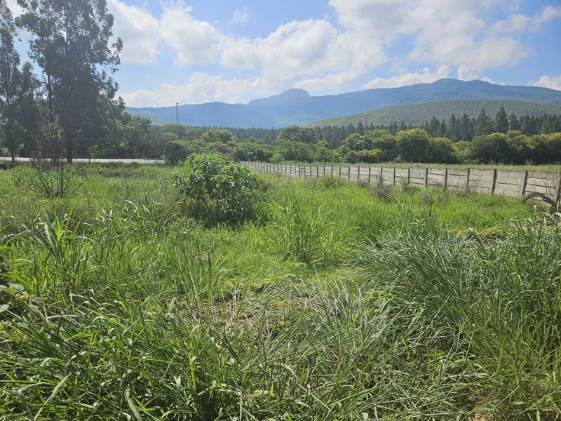 Prime land for sale adjacent to the N1 - Photo 4