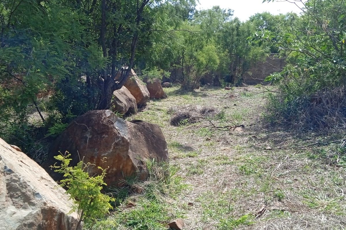 Your Designer Home Starts Here—Ample Space to Build - Photo 4