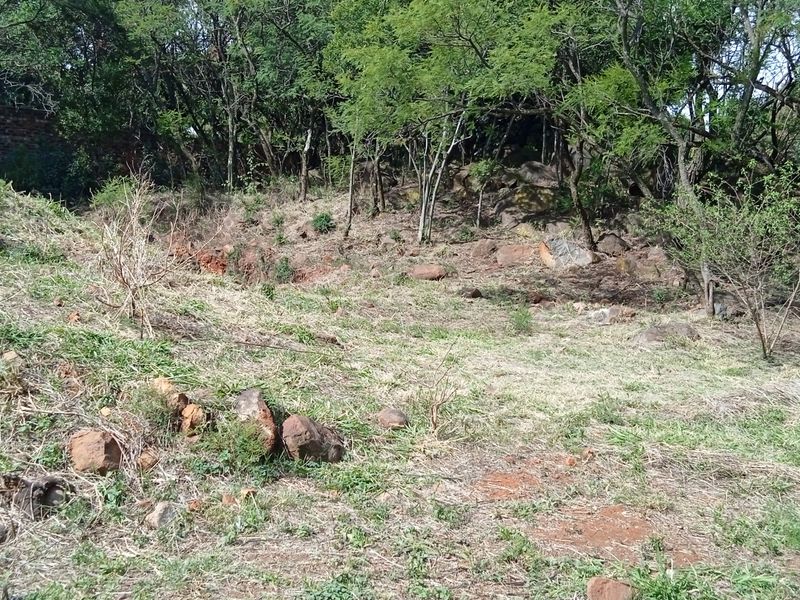 Your Designer Home Starts Here—Ample Space to Build - Photo 10