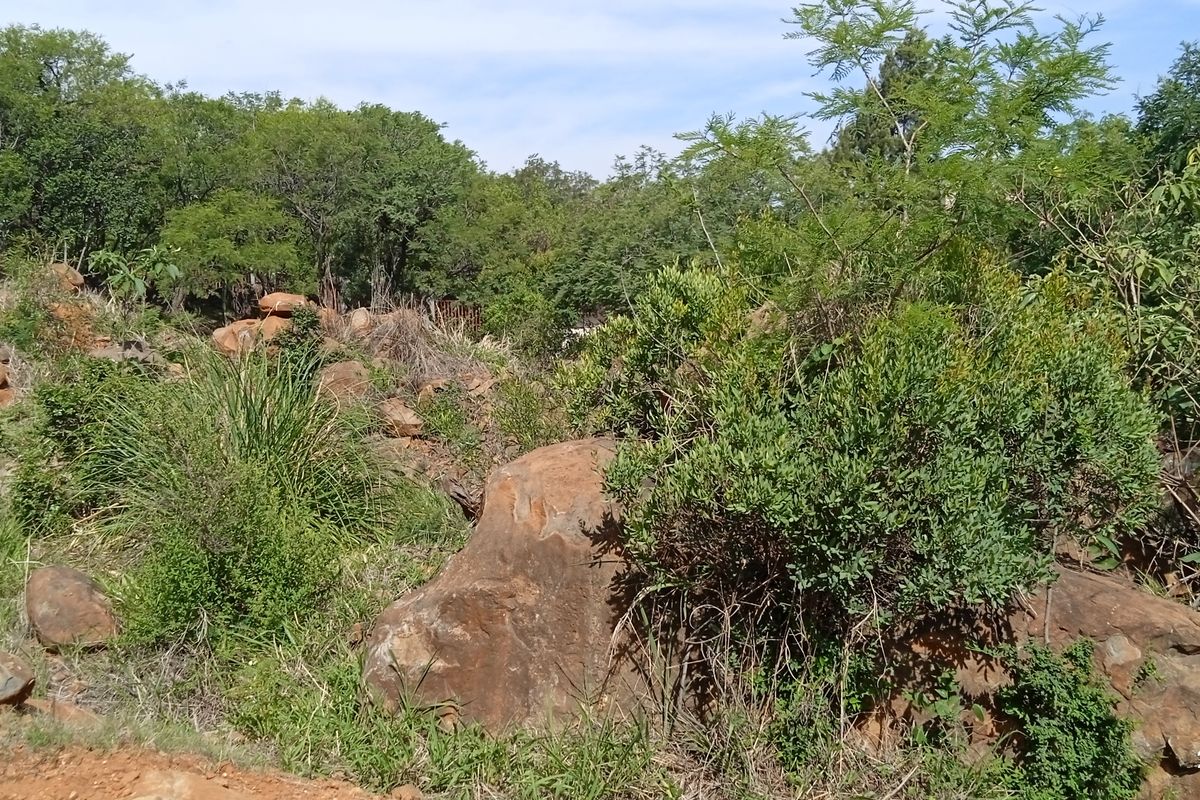 Your Designer Home Starts Here—Ample Space to Build - Photo 2