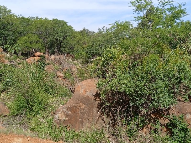 Your Designer Home Starts Here—Ample Space to Build - Photo 2